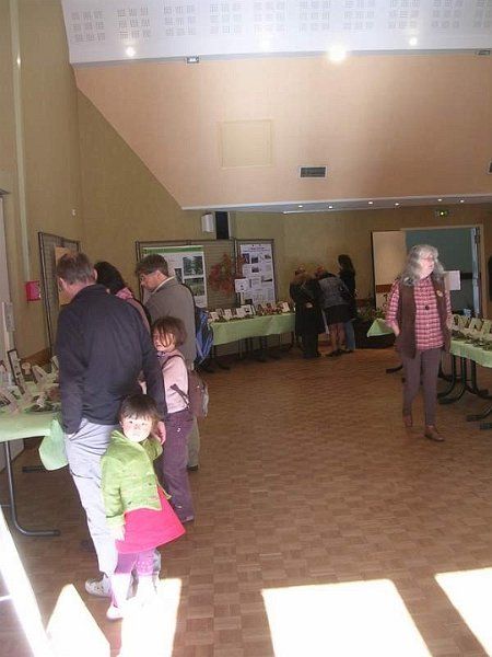 Expo champignons a St Leger 85